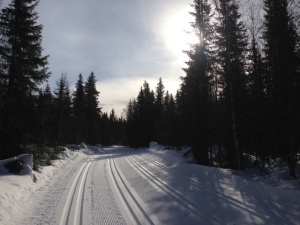 Pre race preparation of the Birkebeiner race tracks on Friday